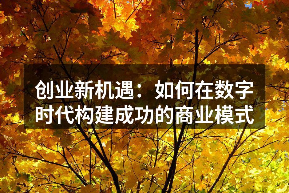 创业新机遇：如何在数字时代构建成功的商业模式